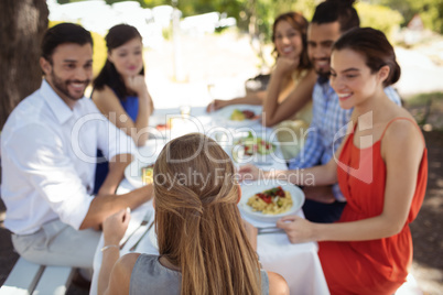 Group of friends having lunch