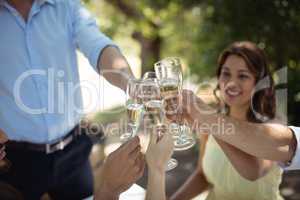 Group of friends toasting champagne glasses