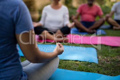 Cropped image of trainer mediating with senior people