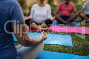 Cropped image of trainer mediating with senior people