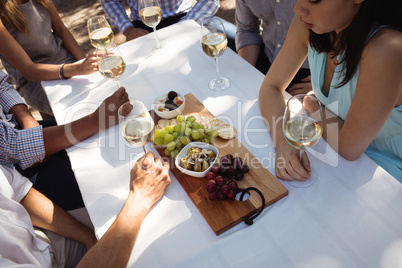 Group of friends interacting with each other while having champagne