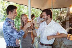 Friends toasting glass and bottle of alcohol at counter in restaurant