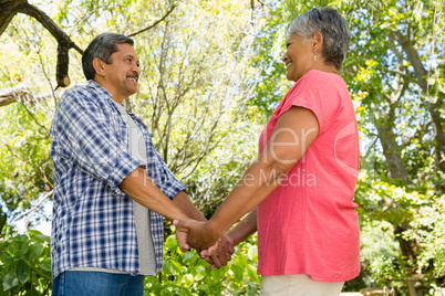 Romantic senior couple holding hands in garden