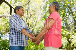 Romantic senior couple holding hands in garden