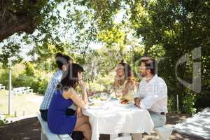 Group of friends interacting with each other while having lunch together