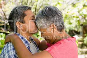 Senior man kissing woman on forehead in garden