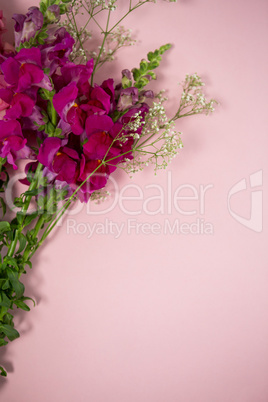 Overhead view of fresh flowers