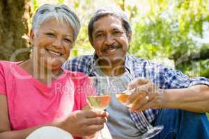 Senior couple toasting wine glasses at the park