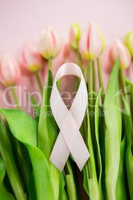 High angle view of Breast Cancer Awareness ribbon on tulip flowers