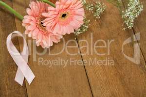 Close-up of pink Breast Cancer Awareness ribbon by gerbera flowers