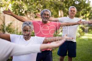 Senior friends exercising at park