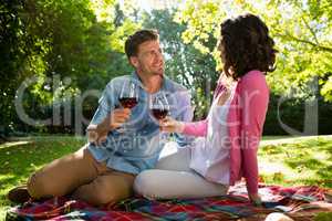 Couple interacting with each other while having glass of wine in park