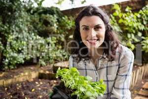 Smiling woman holding sapling plant in garden