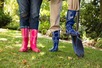 Senior couple standing in garden on a sunny day