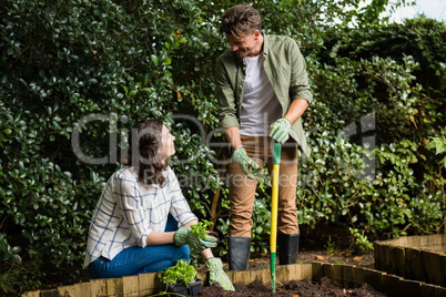 Couple interacting with each other while gardening in the garden