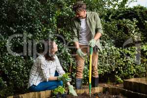 Couple interacting with each other while gardening in the garden