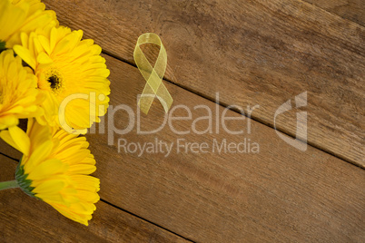 Directly above view of yellow Sarcoma Awareness ribbon by gerbera flowers