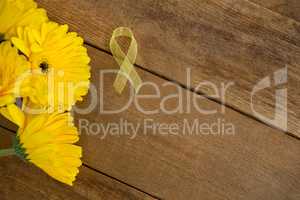 Directly above view of yellow Sarcoma Awareness ribbon by gerbera flowers