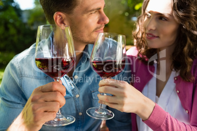 Romantic couple toasting glass of wine in park