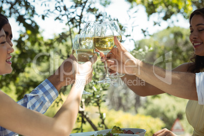 Group of friends toasting champagne glasses