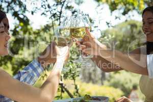 Group of friends toasting champagne glasses