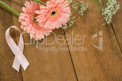 High angle view of pink Breast Cancer Awareness ribbon by gerbera flowers