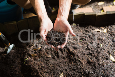 Hand of man holding soil