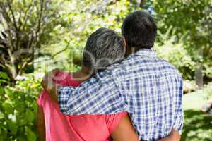 Senior couple embracing each other in garden on a sunny day