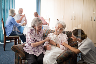 Senior friends and female doctor stroking kitten