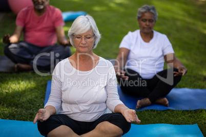 Senior woman with friends meditating at park