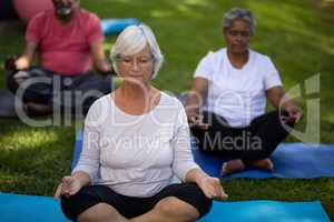 Senior woman with friends meditating at park