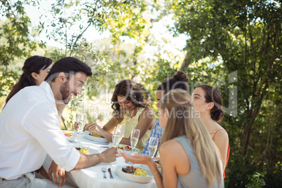Group of friends having lunch