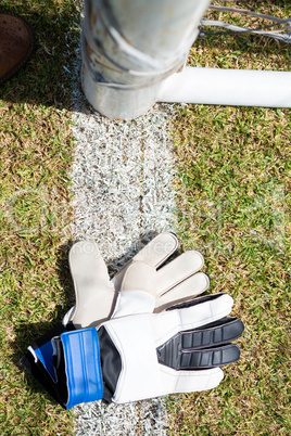 Overhead view of sports gloves