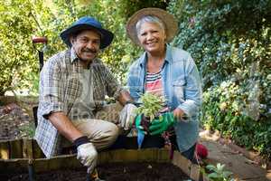 Couple holding sapling plant in garden