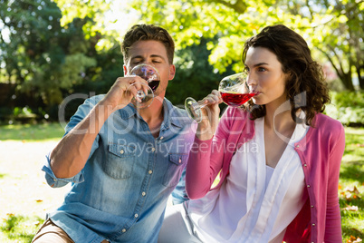 Couple having glass of wine in park