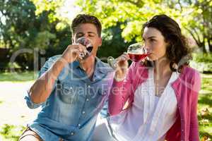 Couple having glass of wine in park