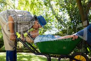 Senior man kissing woman in wheelbarrow