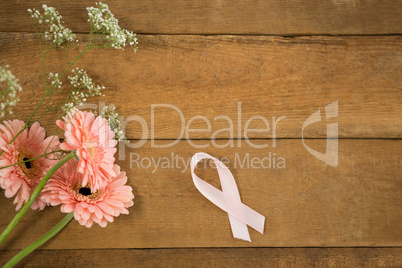 Directly above view of pink Breast Cancer Awareness ribbon by gerbera flowers