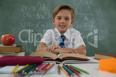 Schoolboy reading book in classroom