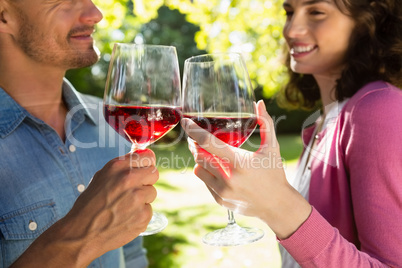 Romantic couple toasting glass of wine in park