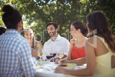 Group of friends having lunch