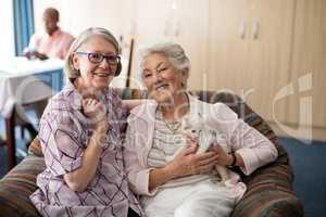 Portrait smiling female seniors with kitten sitting on armchair