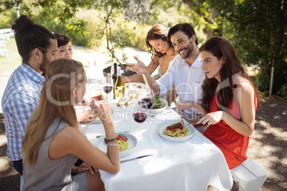 Group of friends having lunch