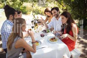 Group of friends having lunch