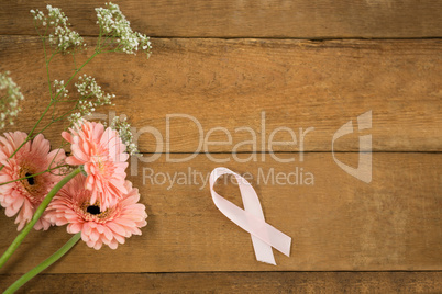 Overhead view of pink Breast Cancer Awareness ribbon by gerbera flowers