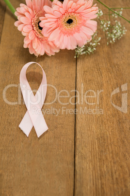 High angle view of pink Breast Cancer Awareness ribbon by gerbera flowers
