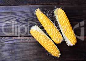 Fresh corn cobs on a brown wooden background