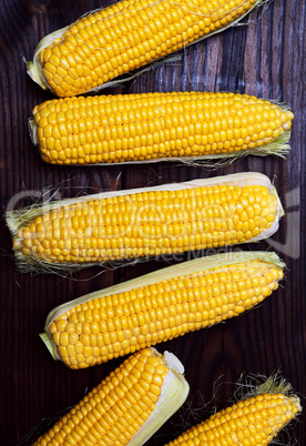 Fresh corn cobs on a brown wooden background