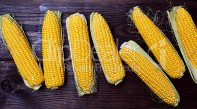 Fresh corn cobs