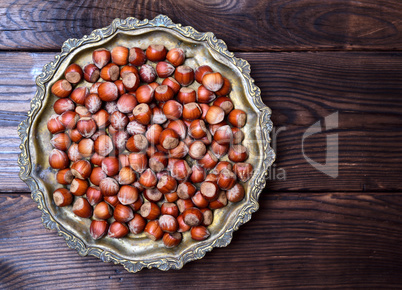 Hazelnut nut in shell